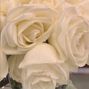 Meet your Posher, Thomas